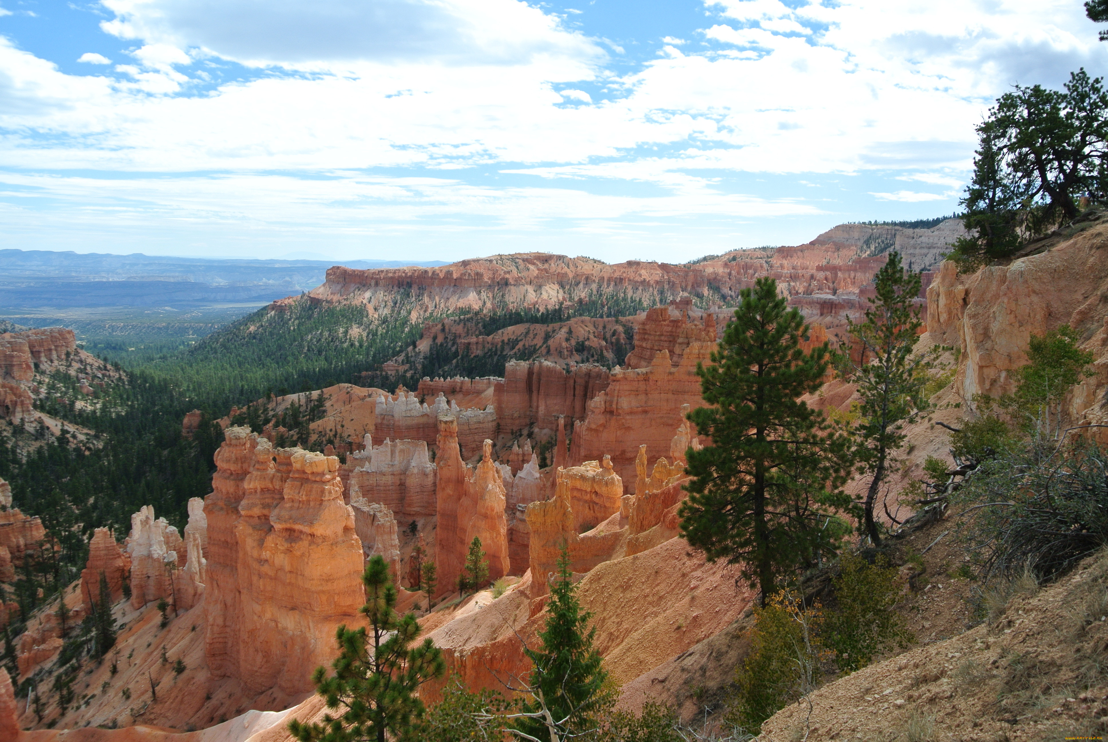 bryce, canyon, utah, , , , , , , 